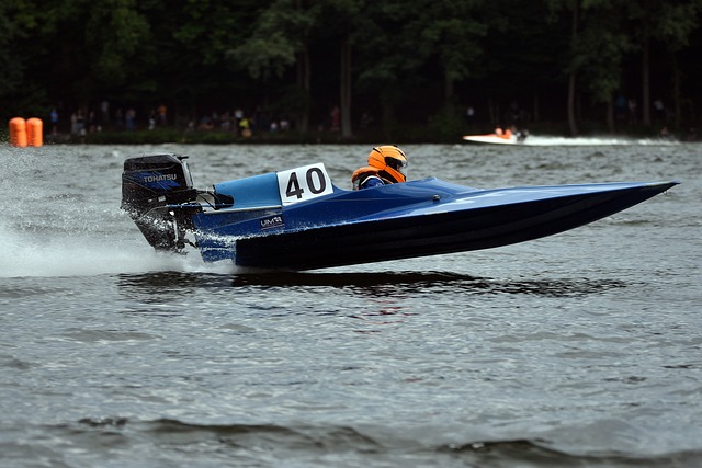 灰熊需要在 灰熊需要在