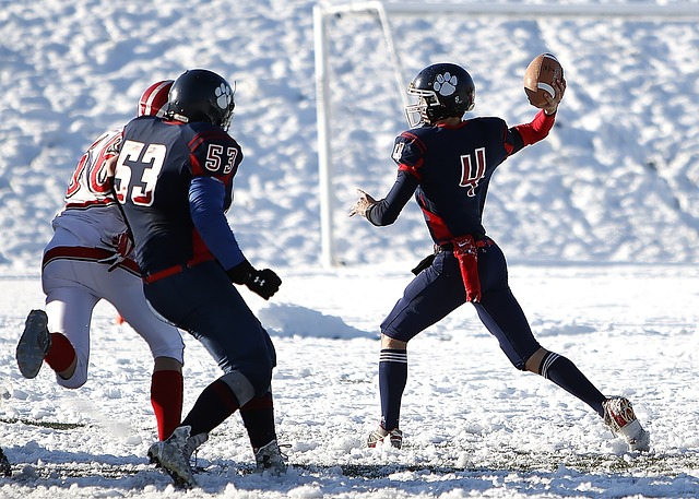 與激情的結 與激情的結