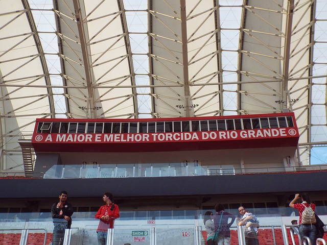 的引援是否 的引援是否