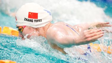 等级划分及 等级划分及