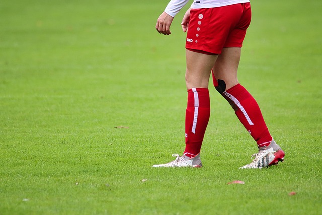 一些新的领 一些新的领